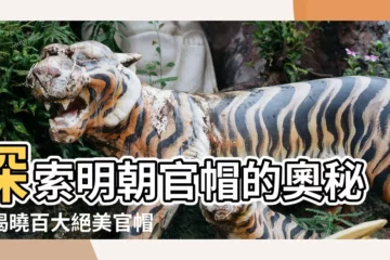 【明朝官帽】探索明朝官帽的奧秘，揭曉百大絕美官帽