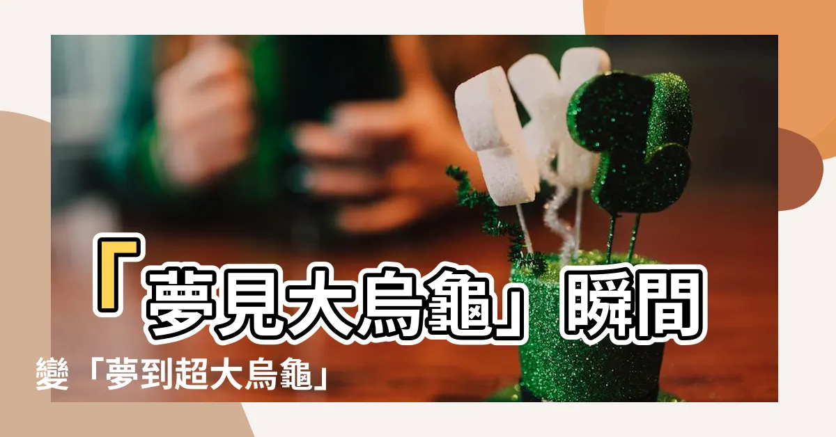 【夢到超大烏龜】「夢見大烏龜」瞬間變「夢到超大烏龜」！震撼驚奇，絕對必點！