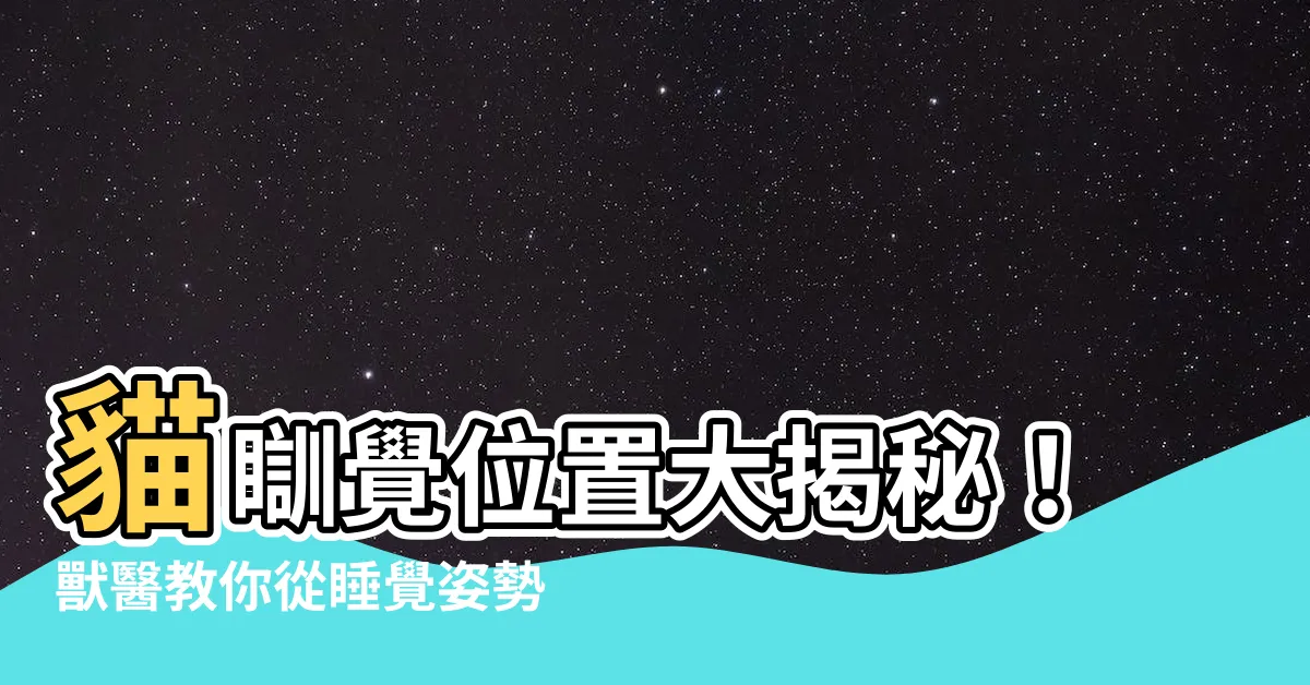 【貓瞓覺位置】貓瞓覺位置大揭秘！獸醫教你從睡覺姿勢看懂貓咪的心思~
