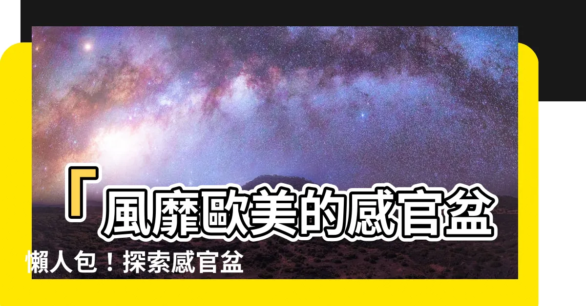 【感官盆是什麼】「風靡歐美的感官盆懶人包！探索感官盆的奇妙世界！」