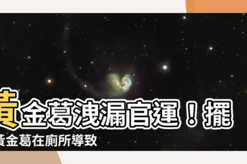【黃金葛風水廁所】黃金葛洩漏官運！擺放黃金葛在廁所導致官司纏身！
