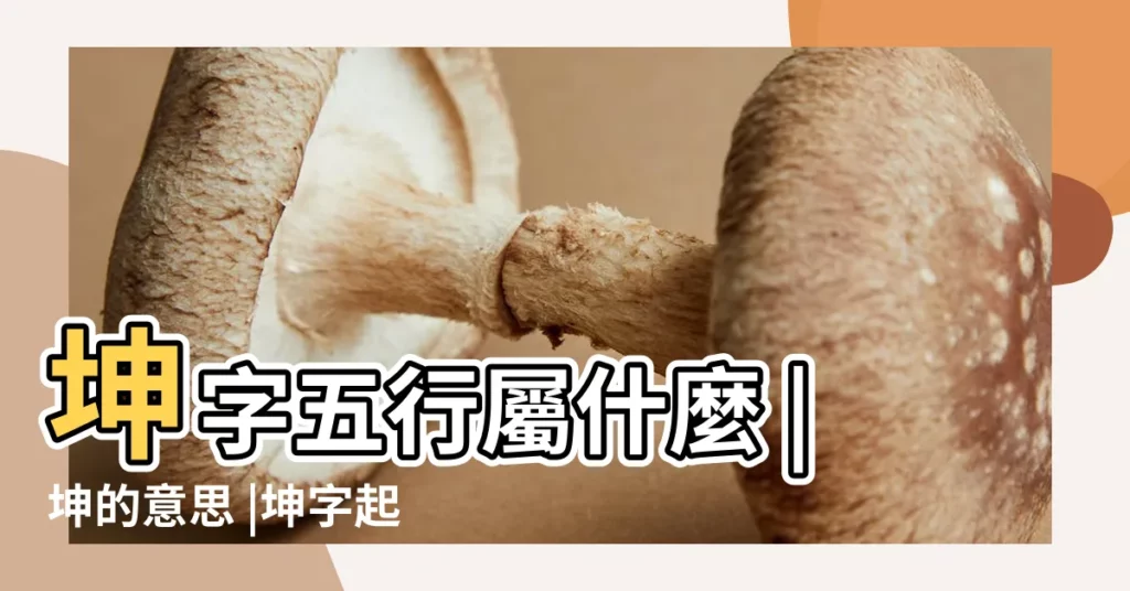 坤字五行屬什麼 |坤的意思 |坤字起名的寓意 |【坤五行寓意】