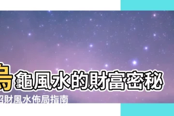 【烏龜風水】烏龜風水的財富密秘：招財風水佈局指南！