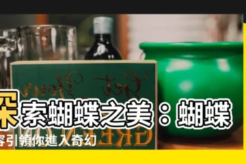 【蝴蝶形容】探索蝴蝶之美：蝴蝶形容引領你進入奇幻的彩蝶世界！