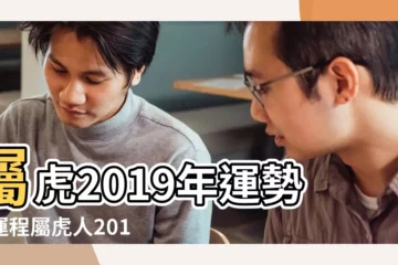 【屬豬和屬虎2019年運勢如何】屬虎2019年運勢及運程屬虎人2019年全年運勢 |十二生肖流年運勢大公開 |2019年十二生肖運勢系列 |