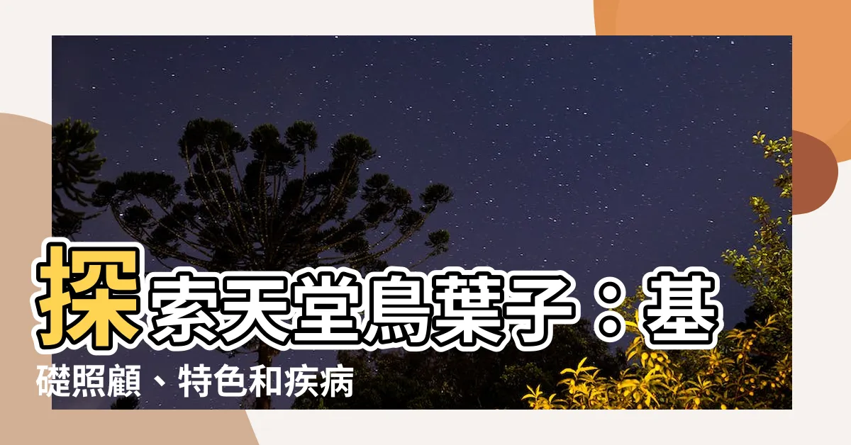 【天堂鳥葉子】探索天堂鳥葉子：基礎照顧、特色和疾病學