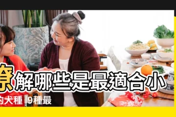 【哪些狗容易和小孩子】瞭解哪些是最適合小孩的犬種 |9種最適合有小孩家庭適合養的狗狗 |7種適合有孩子家庭養的狗狗 |