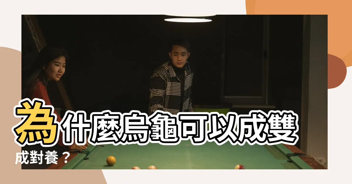 【烏龜可以養兩隻嗎】為什麼烏龜可以成雙成對養？