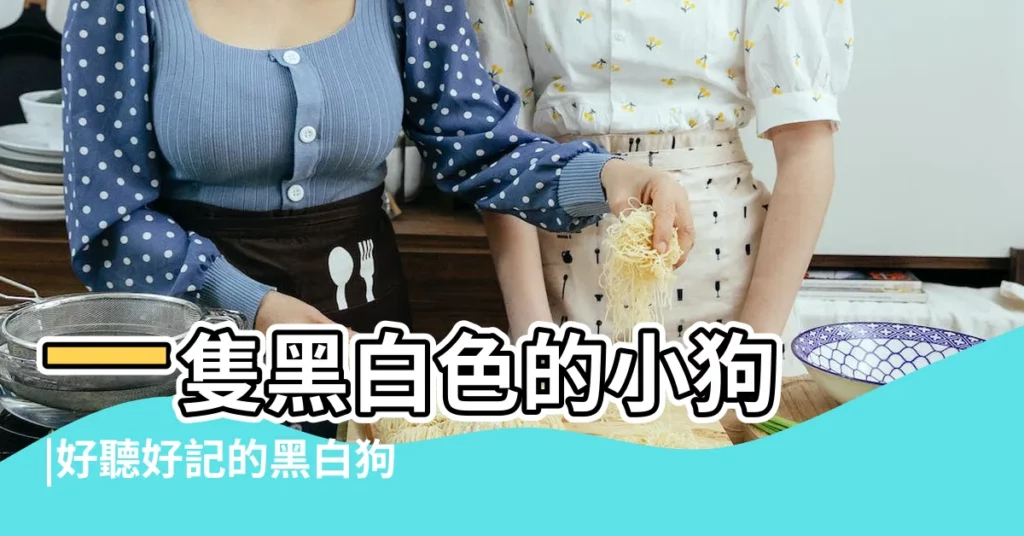 一隻黑白色的小狗 |好聽好記的黑白狗名字 |黑白狗狗名字大全可愛 |【黑白色狗狗名字大全】