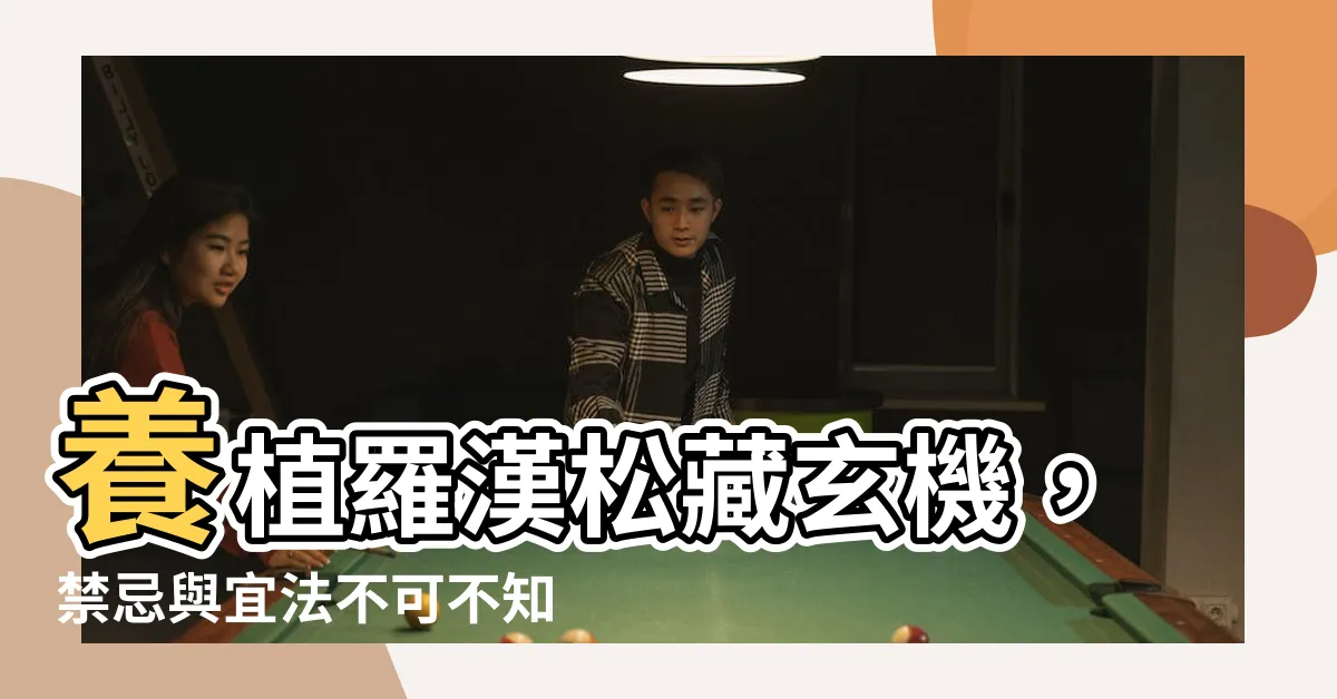 【羅漢松禁忌】養植羅漢松藏玄機，禁忌與宜法不可不知！
