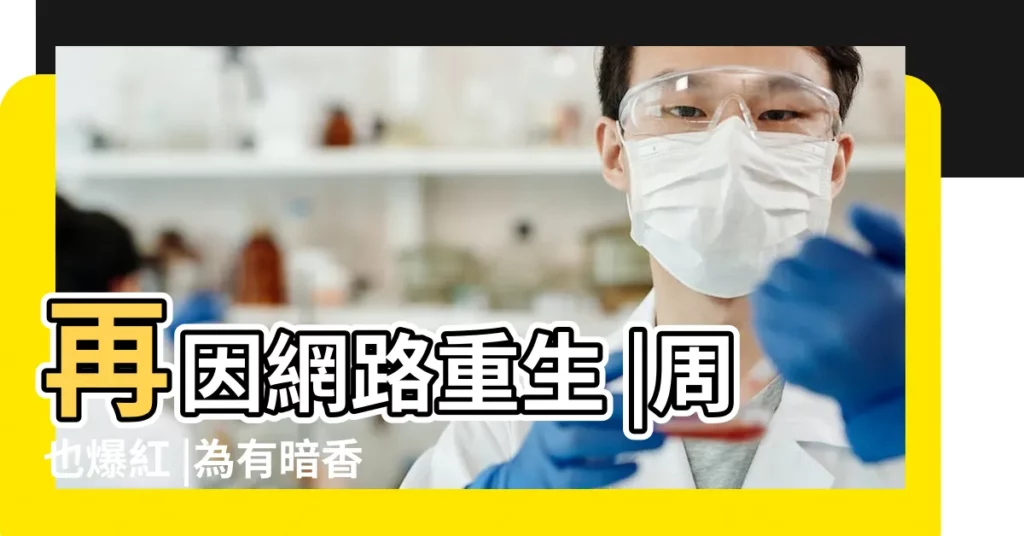 再因網路重生 |周也爆紅 |為有暗香來 |【前世今生的羣新網名】