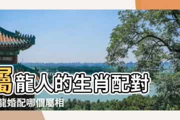 【屬龍的人最佳婚配】屬龍人的生肖配對 |屬龍婚配哪個屬相最好 |屬龍人的上等婚姻與最差配對 |