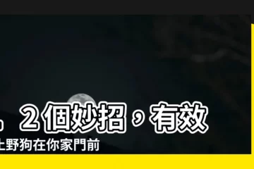 【防止野狗大便】12 個妙招，有效防止野狗在你家門前大小便！