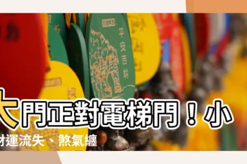 【大門對電梯門】大門正對電梯門！小心財運流失、煞氣纏身！