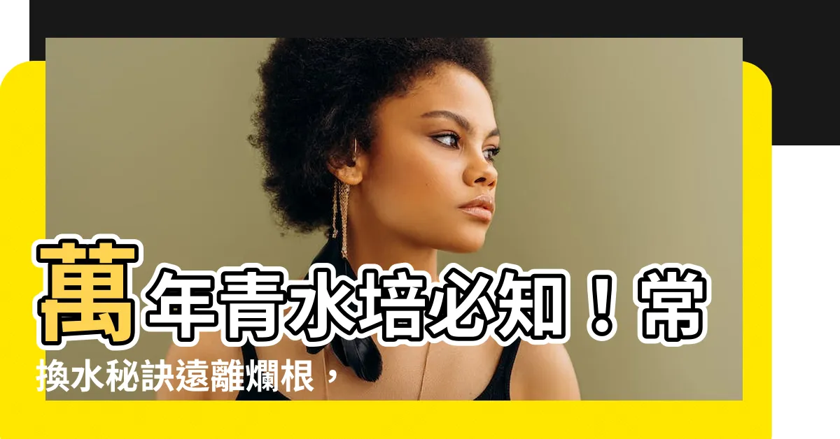 【萬年青換水】萬年青水培必知！常換水秘訣遠離爛根，讓你的植物永遠翠綠！