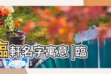 【臨軒這個名字的寓意】臨軒名字寓意 |臨軒名字的寓意 |101個 |