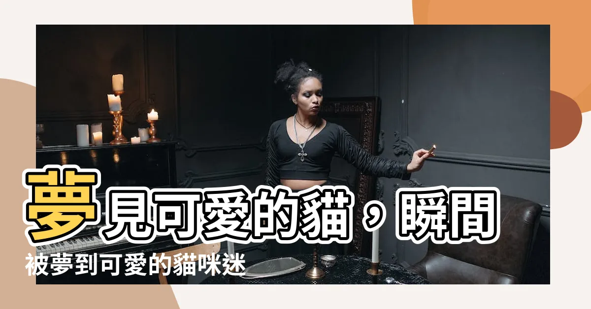 【夢到可愛的貓】夢見可愛的貓，瞬間被夢到可愛的貓咪迷倒
