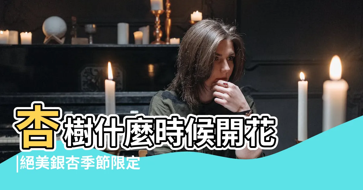 【杏樹季節】杏樹什麼時候開花 |絕美銀杏季節限定 |猶如走入金黃世界 |