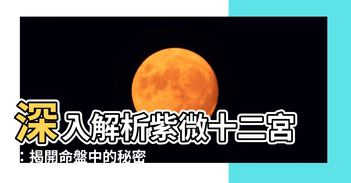 【紫微十二宮】深入解析紫微十二宮：揭開命盤中的秘密密碼