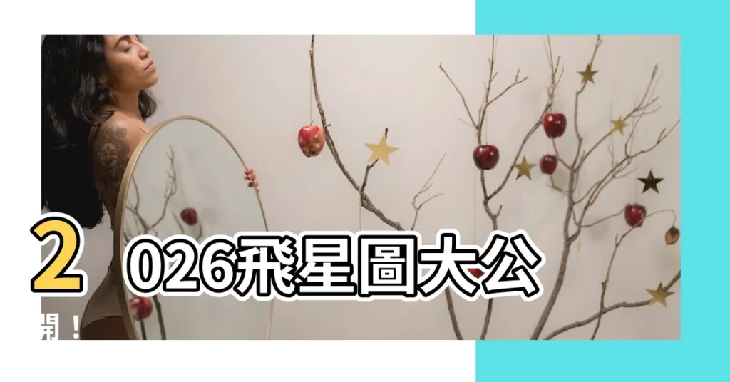 【2026飛星圖】2026飛星圖大公開！