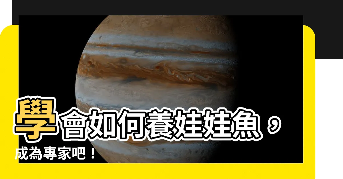 【養娃娃魚】學會如何養娃娃魚，成為專家吧！
