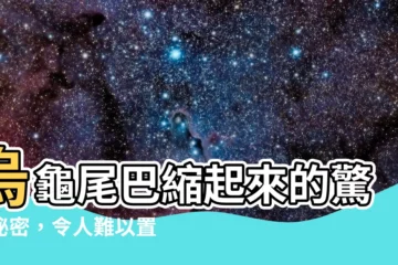 【烏龜尾巴縮起來】烏龜尾巴縮起來的驚人秘密，令人難以置信！