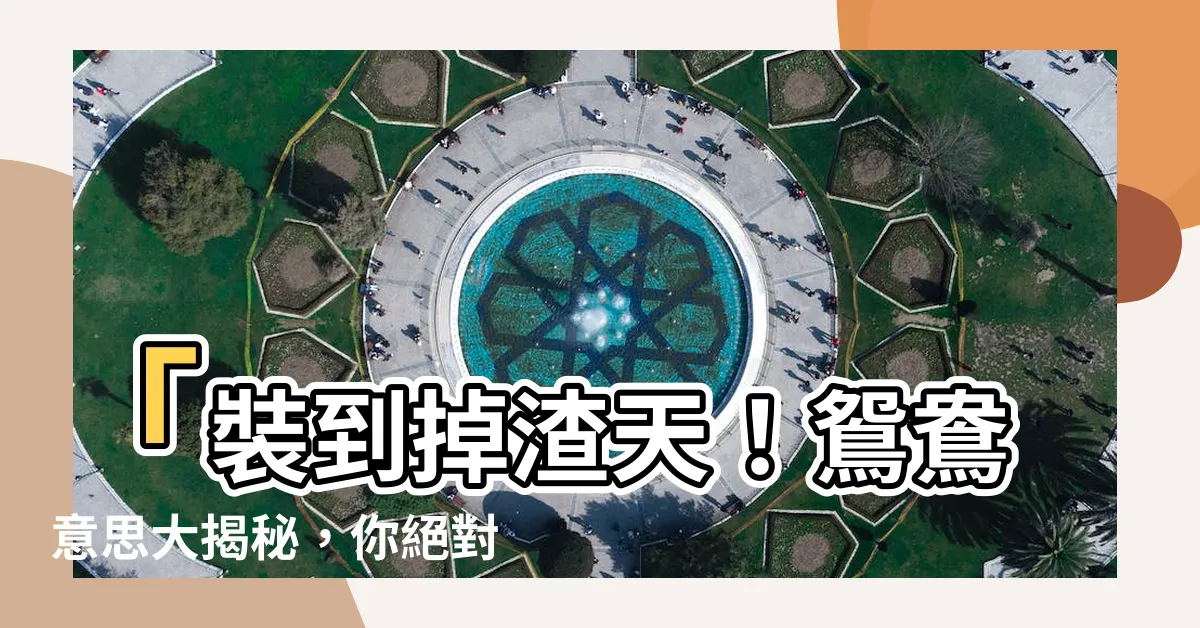 【鴛鴦意思】「裝到掉渣天！鴛鴦意思大揭秘，你絕對無法想像的驚人內幕！