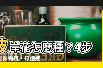 【彼岸花怎麼種】彼岸花怎麼種？4步驟輕鬆養殖，打造迷人花海