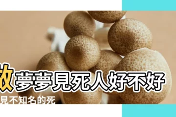 【夢見死人意思周公解夢】做夢夢見死人好不好 |夢見不知名的死人或者屍體 |