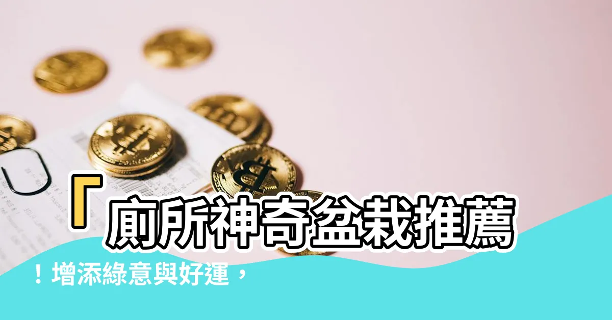 【廁所 植物 推薦】「廁所神奇盆栽推薦！增添綠意與好運，打造舒適浴室空間」