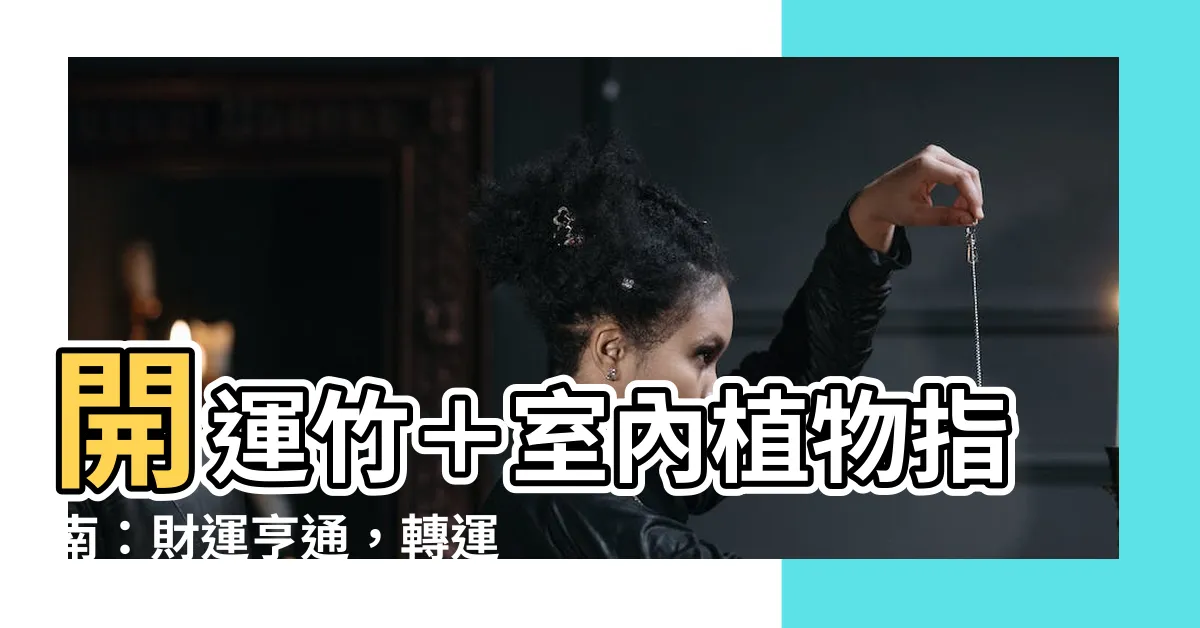 【風水 竹】開運竹＋室內植物指南：財運亨通，轉運招福