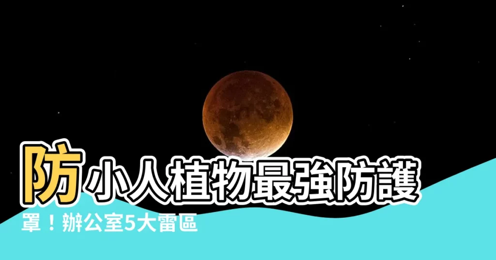 【防小人植物】防小人植物最強防護罩！辦公室5大雷區千萬別擺