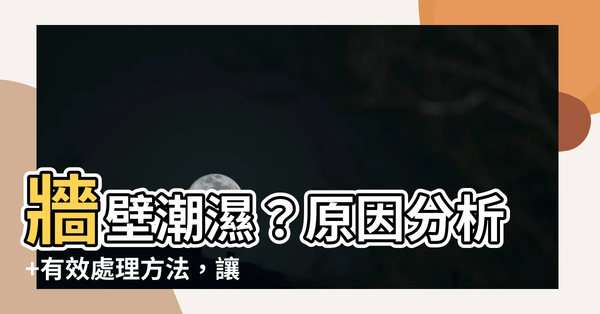 【牆壁有水氣】牆壁潮濕？原因分析+有效處理方法，讓你的家居乾乾爽爽