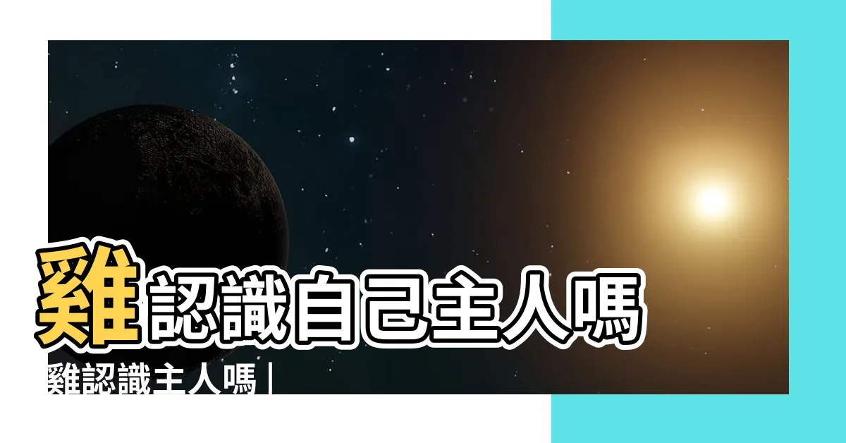 【雞會認主人嗎】雞認識自己主人嗎 |雞認識主人嗎 |長期飼養可以讓它們認主 |