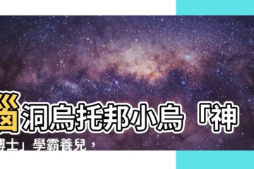 【腦洞烏託邦小烏學歷】腦洞烏託邦小烏「神學博士」學霸養兒，揭露驚世「小烏學歷」