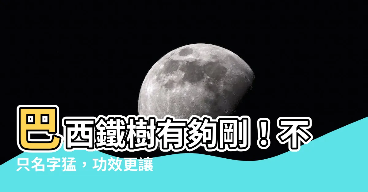 【巴西鐵樹功效】巴西鐵樹有夠剛！不只名字猛，功效更讓大家好運擋不住