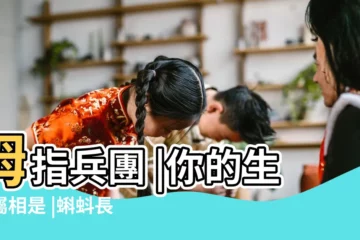 【蝌蚪代表什麼生肖】拇指兵團 |你的生肖屬相是 |蝌蚪長大後不是青蛙 |