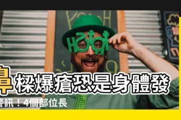 【鼻樑生瘡】鼻樑爆瘡恐是身體發出警訊！4個部位長痘竟和這些毛病有關！