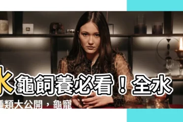 【全水龜種類】水龜飼養必看！全水龜種類大公開，龜寵達人別錯過！