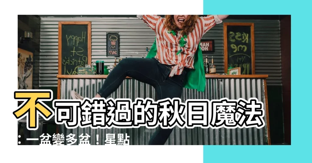 【星點海棠繁殖】不可錯過的秋日魔法:一盆變多盆!星點秋海棠繁殖秘訣