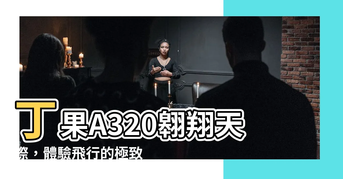 【丁果a320】丁果A320翱翔天際，體驗飛行的極致自由！