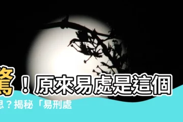 【易處 意思】驚！原來易處是這個意思？揭秘「易刑處分」的真實面目