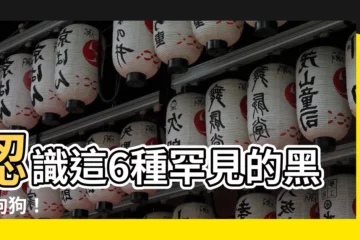 【黑色狗】認識這6種罕見的黑色狗狗！