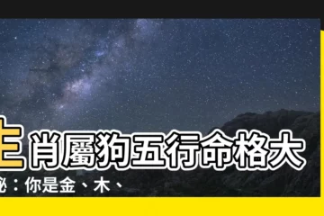 【狗 五行】生肖屬狗五行命格大揭秘：你是金、木、水、火、土中的哪一型？
