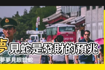【夢見蛇一支追我】夢見蛇是發財的預兆 |做夢夢見眼鏡蛇追我好不好 |做夢夢見蛇追我好不好 |