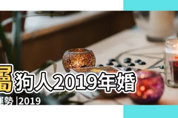 【屬狗2019年婚姻幾月好】屬狗人2019年婚姻運勢 |2019年屬狗人在幾月結婚最好 |屬狗人哪些月份結婚好 |