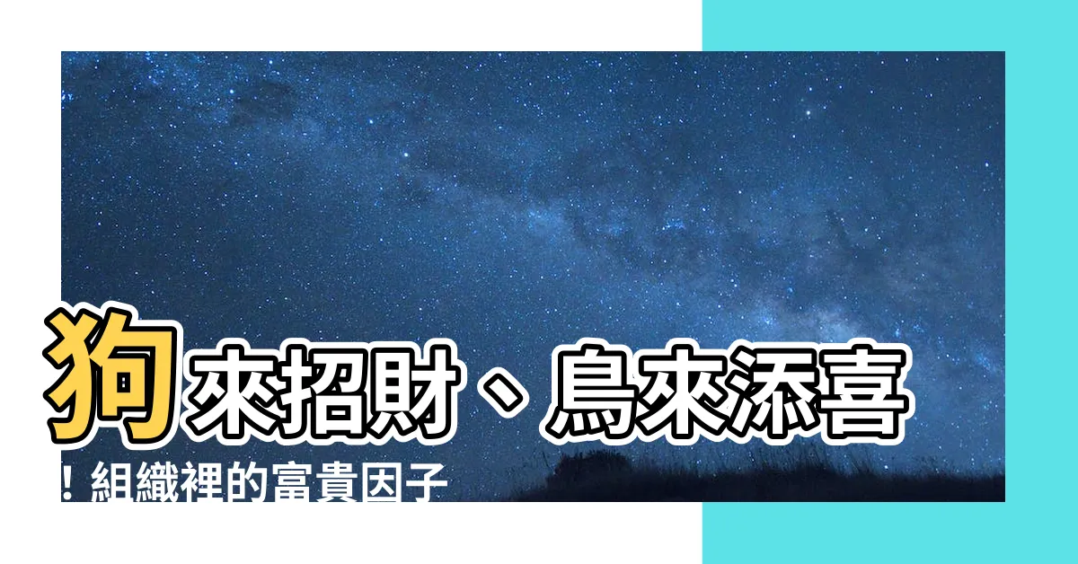 【狗來富 鳥來】狗來招財、鳥來添喜！組織裡的富貴因子你找到沒？