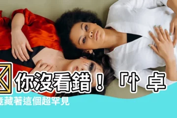 【忄卓】😱你沒看錯！「忄卓」竟藏著這個超罕見字，讓你瞬間博學多聞！