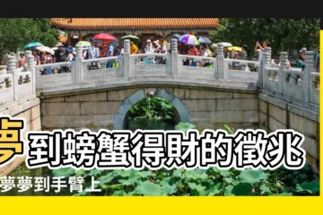 【夢到螃蟹進手臂裏】夢到螃蟹得財的徵兆 |做夢夢到手臂上長螃蟹 |螃蟹都是很規律的排列並且都 |