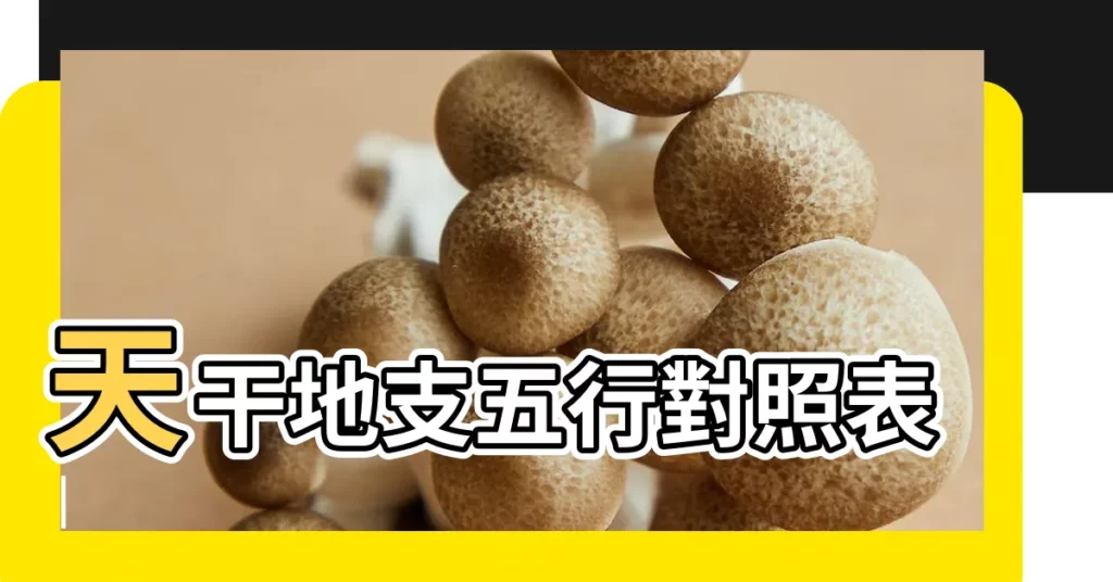 天干地支五行對照表 |【天干庚對應】